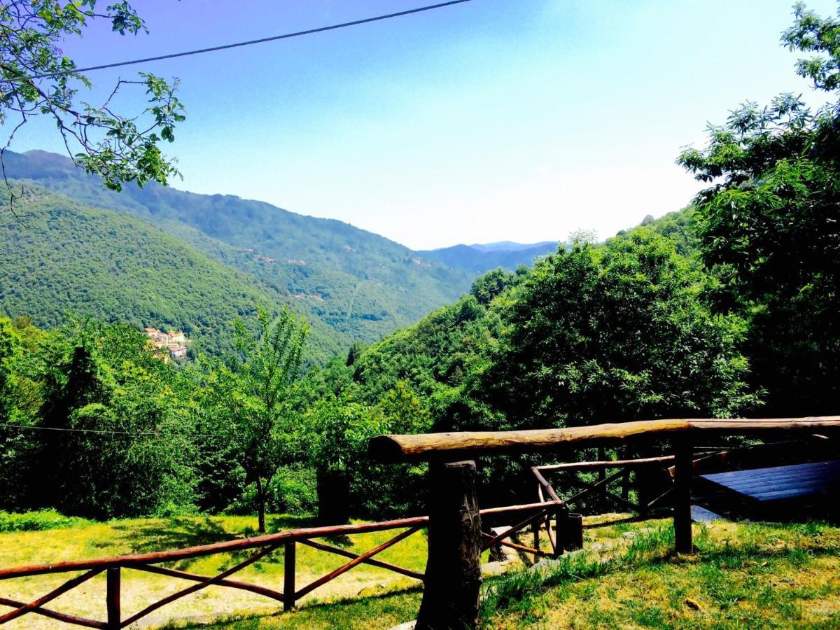 B&B La Presa Molino del Pallone エクステリア 写真