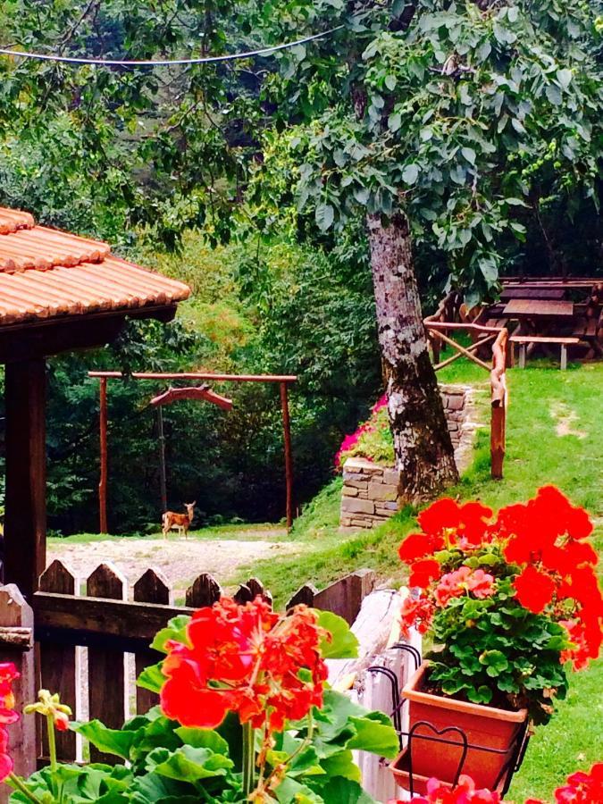 B&B La Presa Molino del Pallone エクステリア 写真